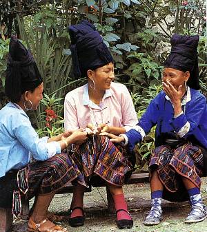 Achang.jpg (35209 byte)