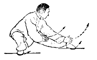 Taijiquan stile Wu