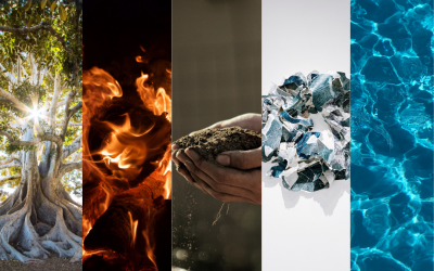 5 elementi in medicina cinese