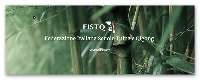 FISTQ-2 FISTQ