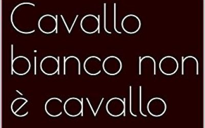 Cavallo bianco non è cavallo: la logica cinese