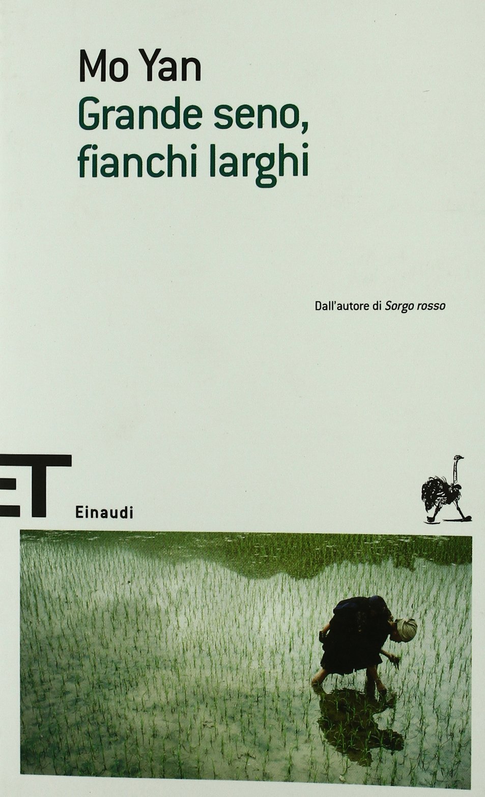 Grande seno, fianchi larghi