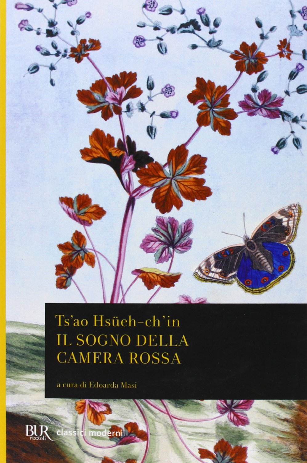 Il sogno della camera rossa