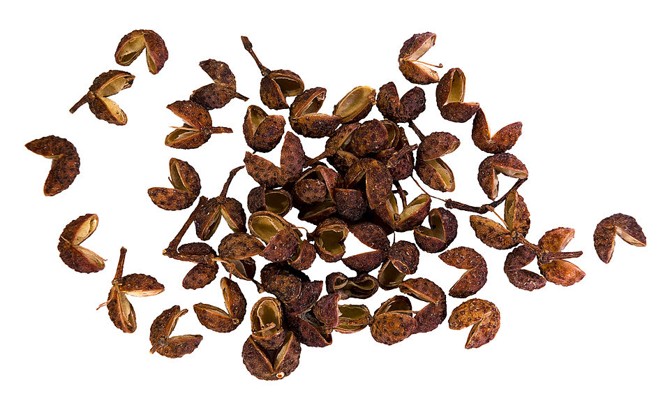 Pepe del Sichuan