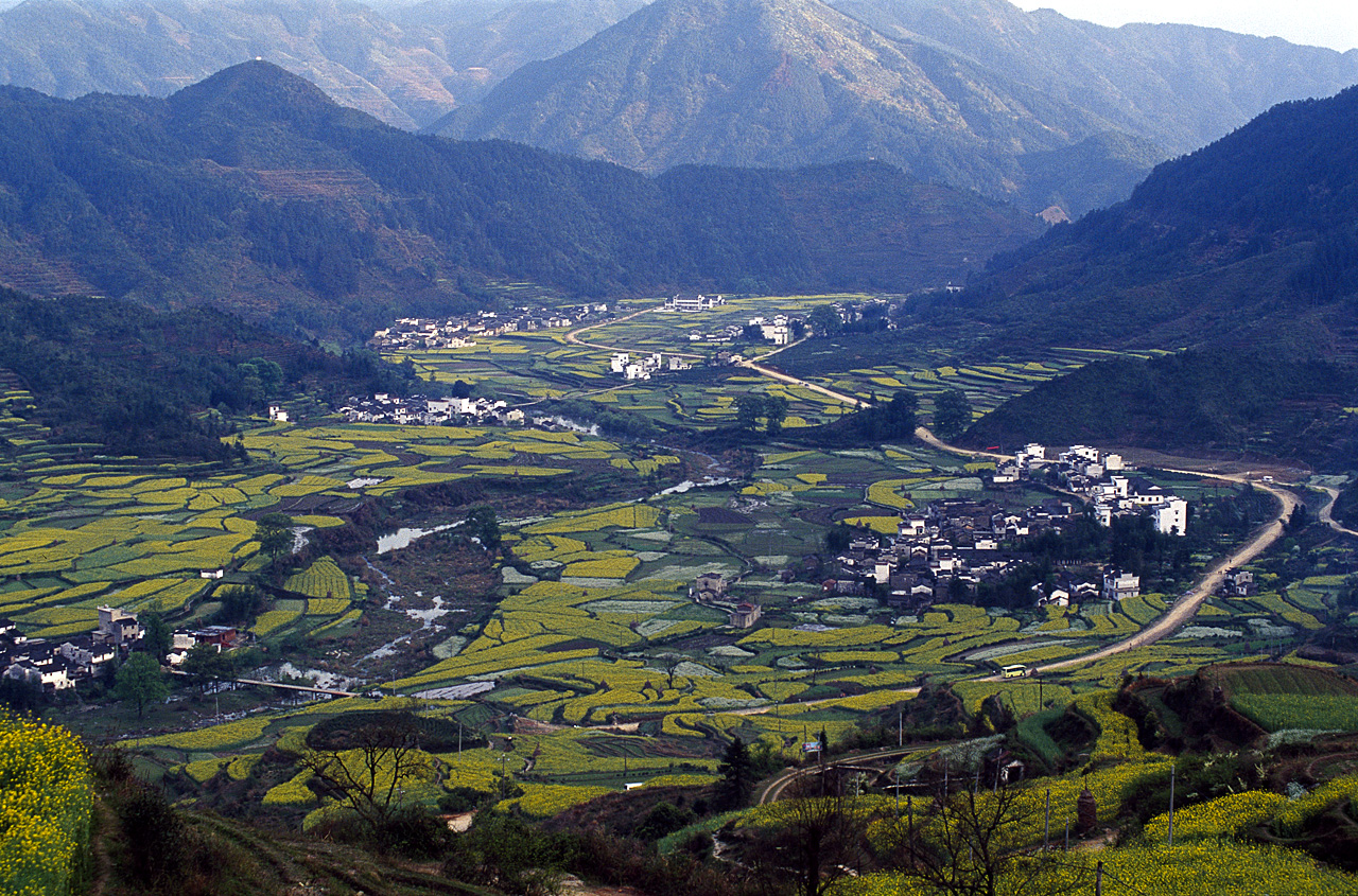 Wuyuan_jiangling Anhui