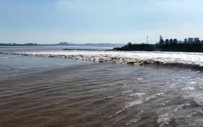 Le onde di marea del fiume Qiantang