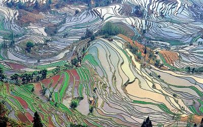 Paesaggio culturale delle risaie terrazzate degli Hani di Honghe