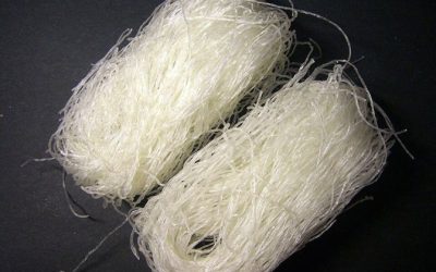 I vermicelli di soia fensi