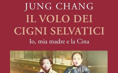 Il volo dei cigni selvatici